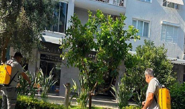 Büyükşehir’den Kemer Liman Caddesi’nde bakım tamirat çalışması