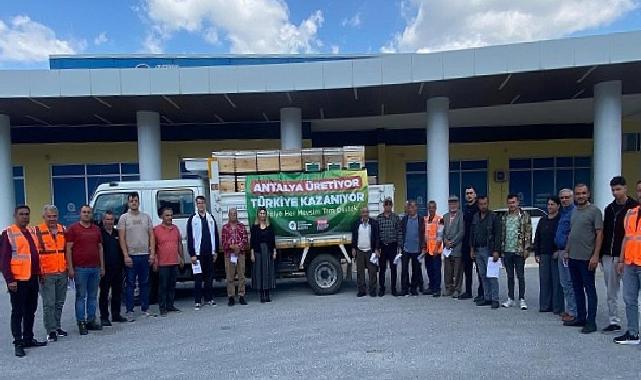Büyükşehir’in arı kovanı takviyeleri devam ediyor