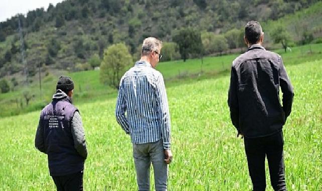 Büyükşehir’in Toprakla Buluşan Tohumları Yeşerdi