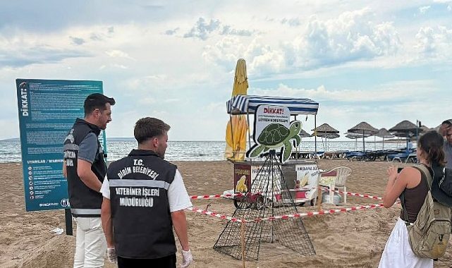 Didim Belediyesi Gruplarının Vaktinde Müdahalesi Caretta Carettayı Kurtardı