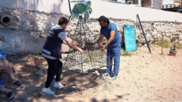 Didim Belediyesi, Tabiatın Eşsiz Mirasına Sahip Çıkıyor