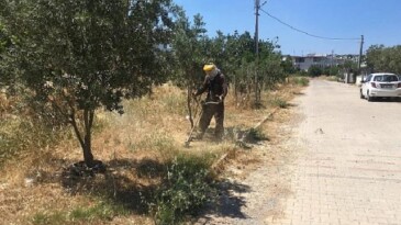 Didim Belediyesi Yeşil Alanlarda Bakım Çalışmalarını Sürdürüyor