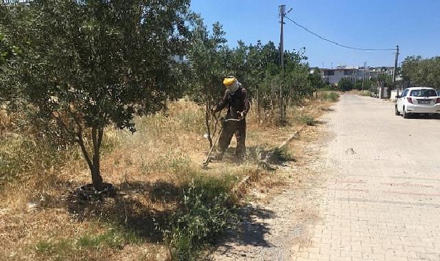 Didim Belediyesi Yeşil Alanlarda Bakım Çalışmalarını Sürdürüyor