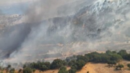 Dikili’de otluk ve zeytinlik alanda çıkan yangına müdahale sürüyor