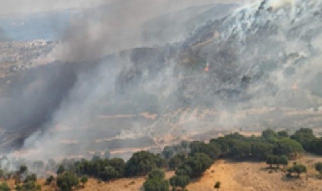 Dikili’de otluk ve zeytinlik alanda çıkan yangına müdahale sürüyor