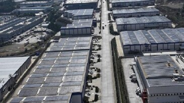 ESBAŞ, Çevreci Yatırımlarla 2025 Yılında 8 Bin Ağaç Kurtardı