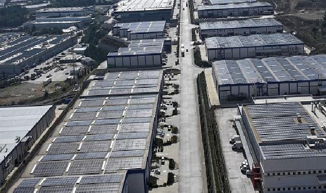 ESBAŞ, Çevreci Yatırımlarla 2025 Yılında 8 Bin Ağaç Kurtardı