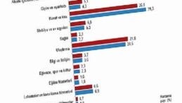 Hanehalkı Tüketim Harcaması, 2025