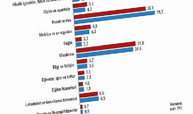Hanehalkı Tüketim Harcaması, 2025