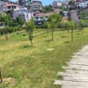 İBB, Park ve Bahçelere Meyve Ağaçları Dikiyor