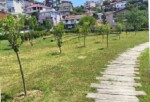 İBB, Park ve Bahçelere Meyve Ağaçları Dikiyor