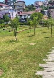 İBB, Park ve Bahçelere Meyve Ağaçları Dikiyor