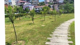 İBB, Park ve Bahçelere Meyve Ağaçları Dikiyor