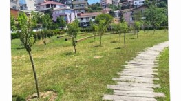 İBB, Park ve Bahçelere Meyve Ağaçları Dikiyor