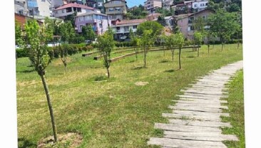 İBB, Park ve Bahçelere Meyve Ağaçları Dikiyor