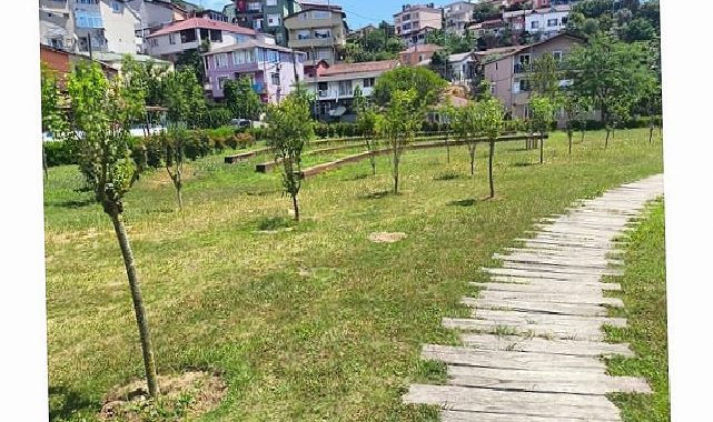 İBB, Park ve Bahçelere Meyve Ağaçları Dikiyor