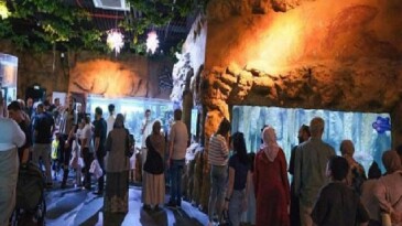 İzmit Millet Bahçesi’nde yeni bir ömür öyküsü