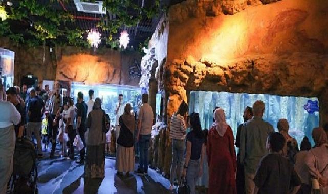 İzmit Millet Bahçesi’nde yeni bir ömür öyküsü