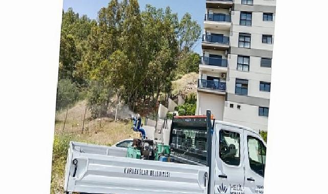 Karabağların 58 Mahallesinde İlaçlama Seferberliği Devam Ediyor