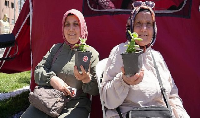 Keçiören’de Uyuşturucuyla Çaba Günü Kapsamında Fidan ve Fide Dağıtıldı