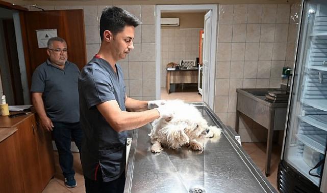 Kemer Belediyesi “Can dostlarına” sahip çıkıyor