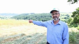 Kocaeli’de “süt otu” hasadı başladı