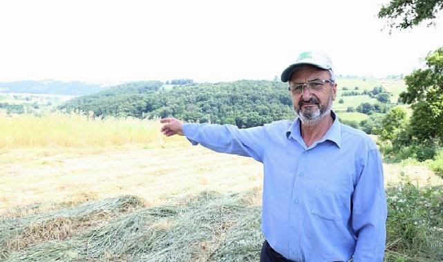 Kocaeli’de “süt otu” hasadı başladı