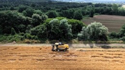 Kocaeli’de tarım, altın çağını yaşıyor