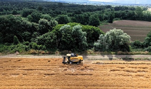 Kocaeli’de tarım, altın çağını yaşıyor