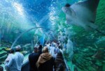 Körfez Aqua, açılışı ile kentte yankı uyandırdı