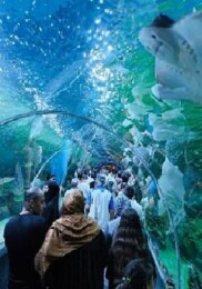 Körfez Aqua, açılışı ile kentte yankı uyandırdı