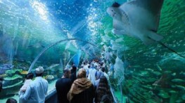 Körfez Aqua, açılışı ile kentte yankı uyandırdı