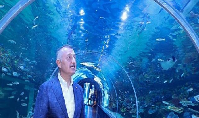 Körfez Aqua Kıtalar Akvaryumu kapılarını açıyor