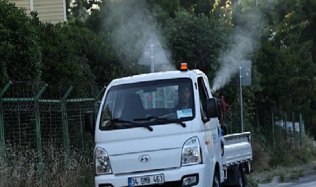 Küçükçekmece’de Sivrisineklere Karşı Çaba Ağırlaştı