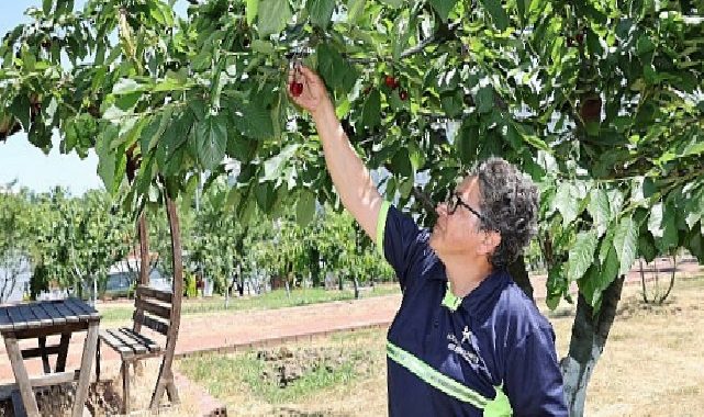 Küçükçekmece’de Toprağın Rahmeti Dayanışmaya Dönüşüyor