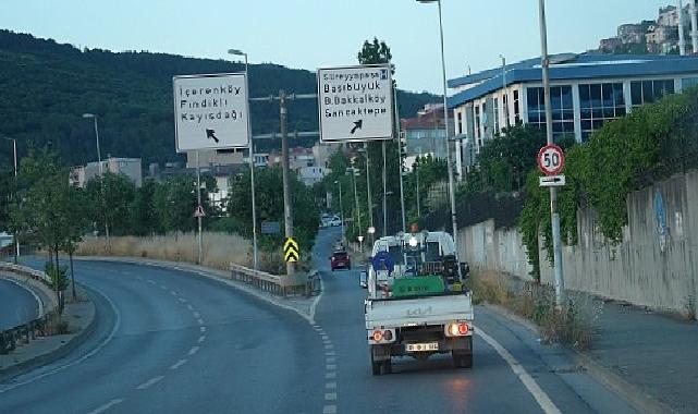 Maltepe’de Sokak İlaçlamaları Başladı