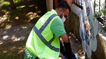 Maltepe’deki hayvan sulukları temizleniyor
