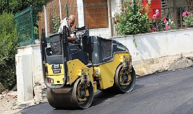Maydonoz Koyu’nda Asfalt Çalışması