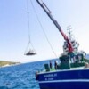 Midye kabukları deniz hayatına nefes olacak