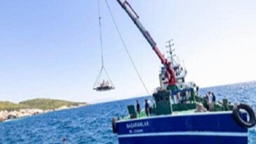 Midye kabukları deniz hayatına nefes olacak