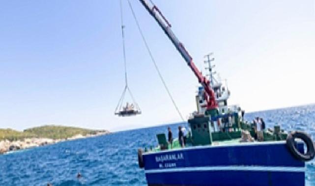 Midye kabukları deniz hayatına nefes olacak