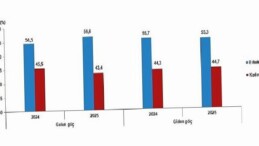 Milletlerarası Göç İstatistikleri, 2025