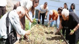 Nilüfer’de yaşlılar fideleri toprakla buluşturdu
