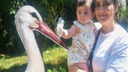 Ormanya’da yavru leylek Atlas’a sürpriz kutlama