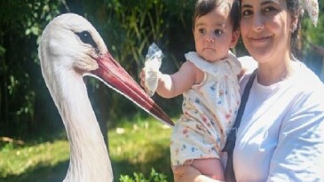 Ormanya’da yavru leylek Atlas’a sürpriz kutlama