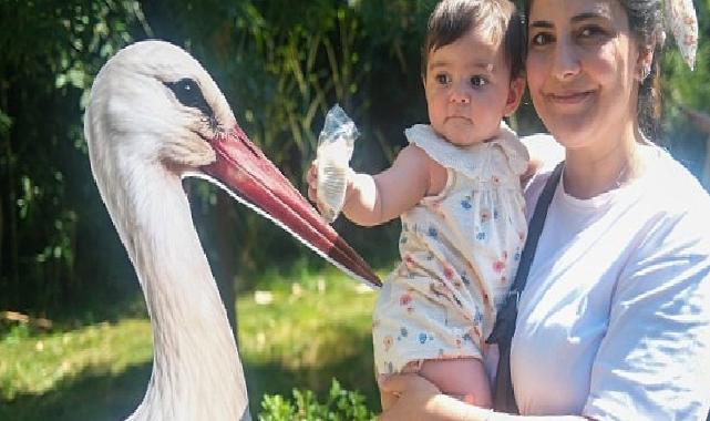 Ormanya’da yavru leylek Atlas’a sürpriz kutlama