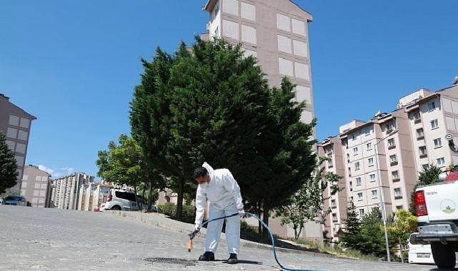 Osmangazi Belediyesi’nden Haşerelere Karşı Aktif Gayret