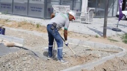 Park ve Bahçeler Müdürlüğü’nden İlçe Genelinde Ağır Çalışma