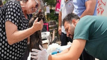 Sokak hayvanlarına yerinde sıhhat takviyesi sürüyor