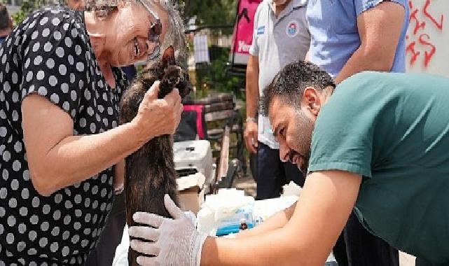 Sokak hayvanlarına yerinde sıhhat takviyesi sürüyor
